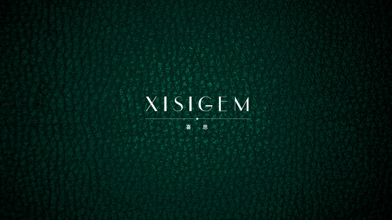 喜思原網(wǎng)站首頁設(shè)計——重慶網(wǎng)站建設(shè)公司（天蠶公司）